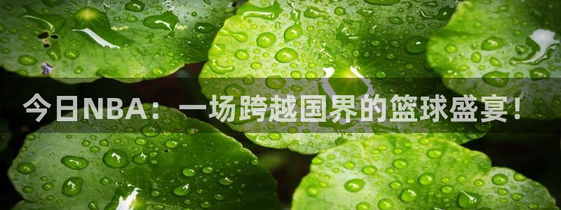 今日NBA：一场跨越国界的篮球盛宴！