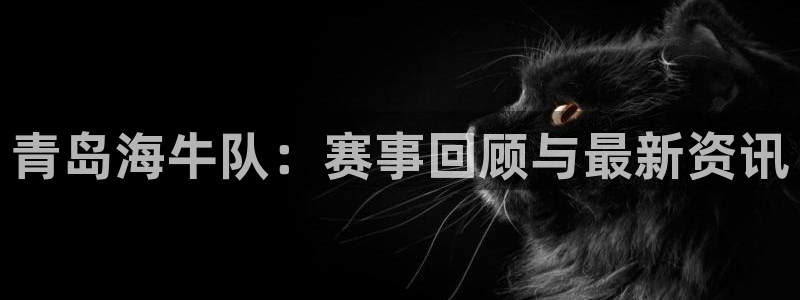 青岛海牛队：赛事回顾与最新资讯