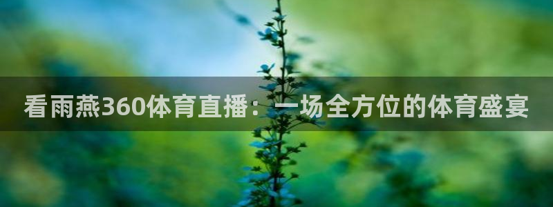 看雨燕360体育直播：一场全方位的体育盛宴