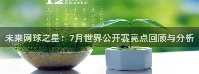 未来网球之星：7月世界公开赛亮点回顾与分析