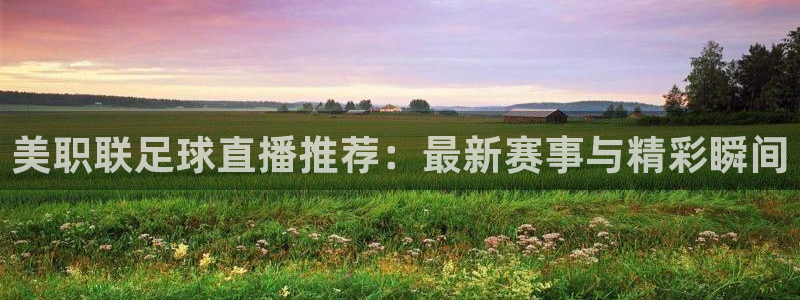 美职联足球直播推荐：最新赛事与精彩瞬间