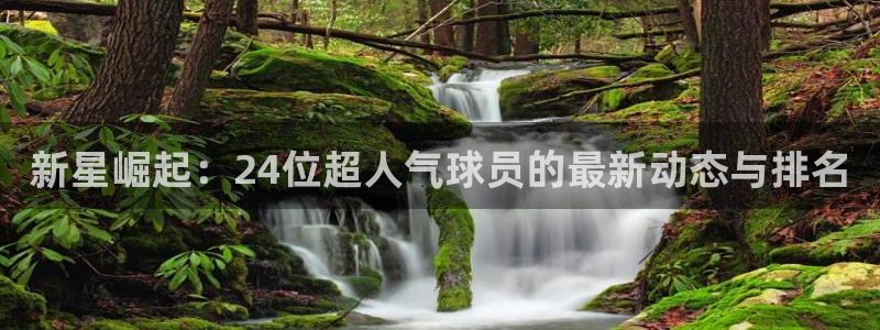 新星崛起：24位超人气球员的最新动态与排名