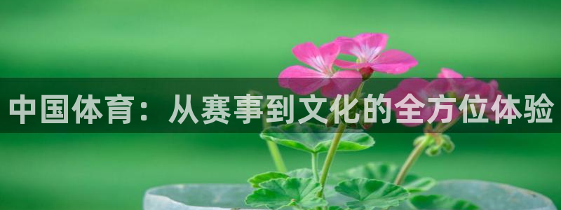 中国体育：从赛事到文化的全方位体验