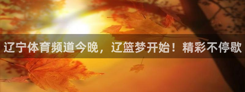 辽宁体育频道今晚，辽篮梦开始！精彩不停歇