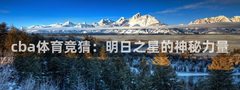 cba体育竞猜：明日之星的神秘力量