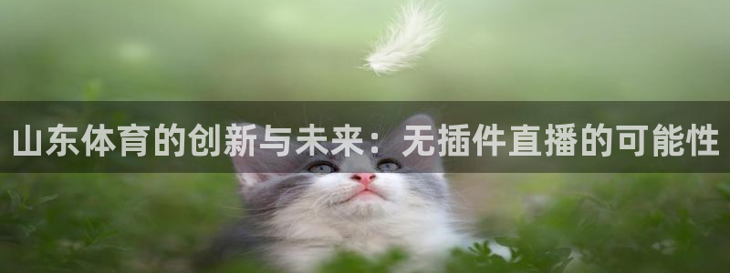 山东体育的创新与未来：无插件直播的可能性