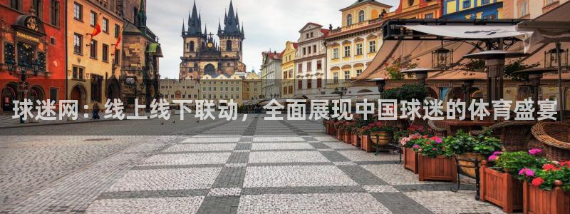 球迷网：线上线下联动，全面展现中国球迷的体育盛宴