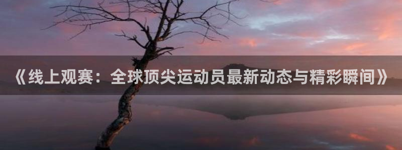 《线上观赛：全球顶尖运动员最新动态与精彩瞬间》