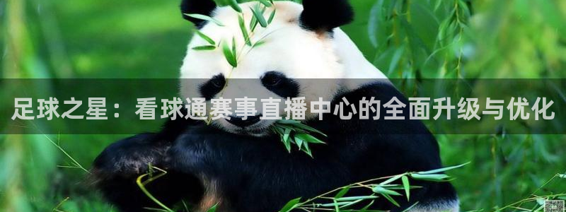 足球之星：看球通赛事直播中心的全面升级与优化