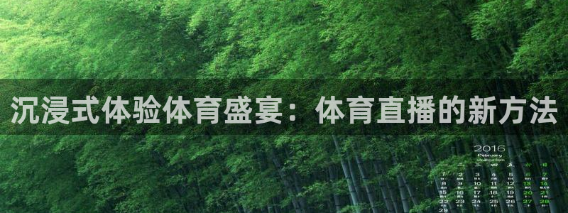 沉浸式体验体育盛宴：体育直播的新方法