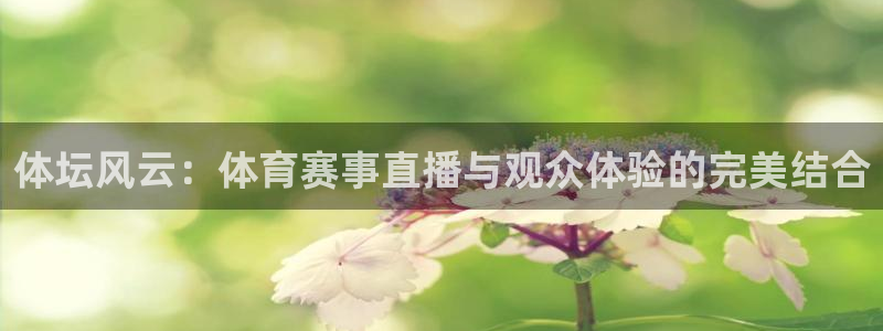 体坛风云：体育赛事直播与观众体验的完美结合
