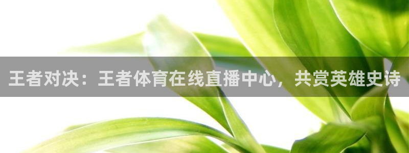 王者对决：王者体育在线直播中心，共赏英雄史诗