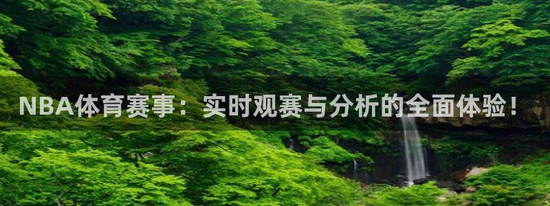 NBA体育赛事：实时观赛与分析的全面体验！