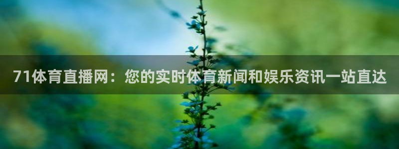 71体育直播网：您的实时体育新闻和娱乐资讯一站直达