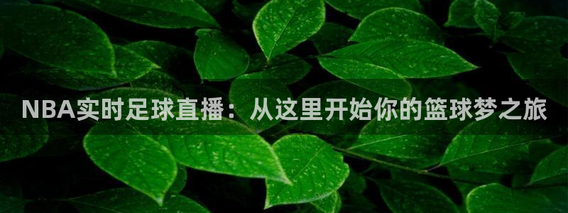 NBA实时足球直播：从这里开始你的篮球梦之旅