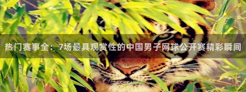 热门赛事全：7场最具观赏性的中国男子网球公开赛精彩瞬间