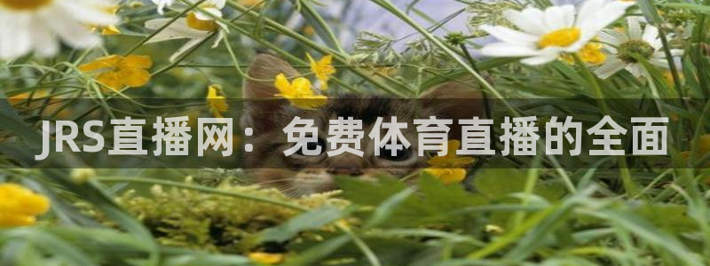 JRS直播网：免费体育直播的全面