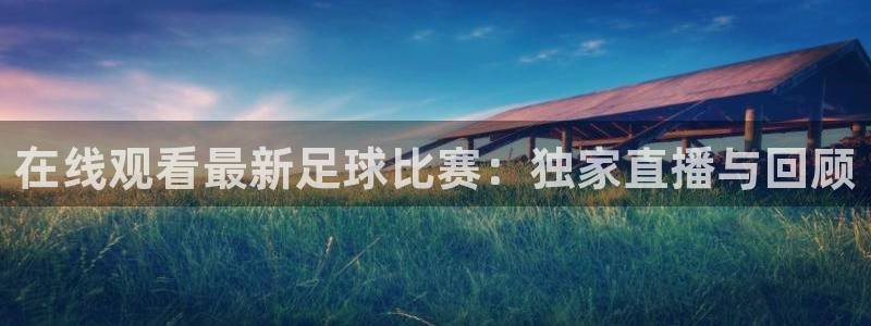 在线观看最新足球比赛：独家直播与回顾