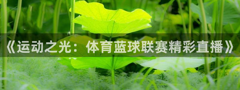 《运动之光：体育蓝球联赛精彩直播》