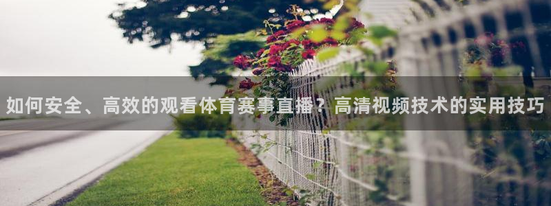 如何安全、高效的观看体育赛事直播？高清视频技术的实用技巧