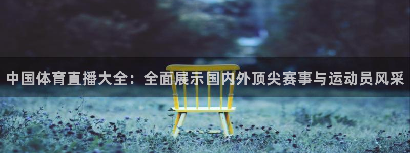 中国体育直播大全：全面展示国内外顶尖赛事与运动员风采