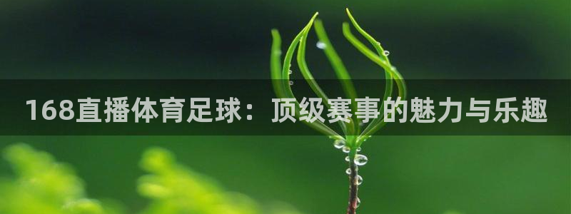 168直播体育足球：顶级赛事的魅力与乐趣