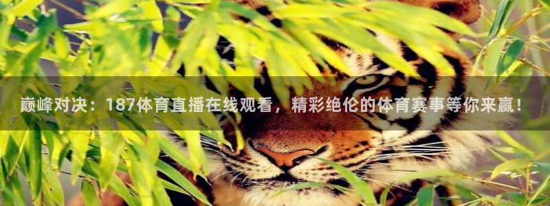 巅峰对决：187体育直播在线观看，精彩绝伦的体育赛事等你来赢！