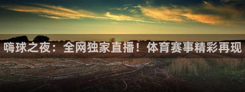 嗨球之夜：全网独家直播！体育赛事精彩再现