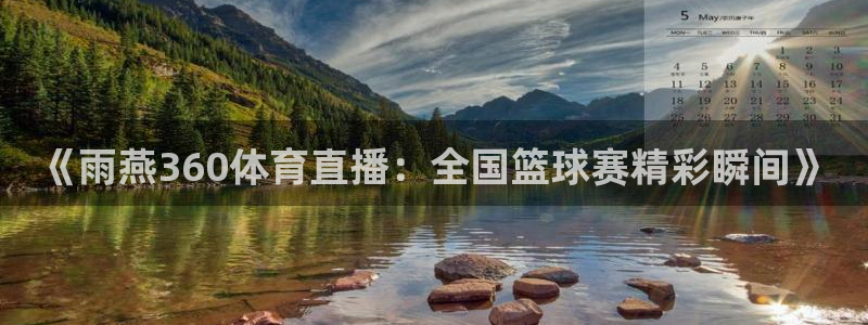 《雨燕360体育直播：全国篮球赛精彩瞬间》